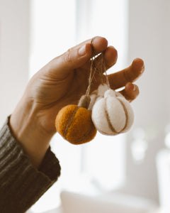 Pumpkins Wool Felted