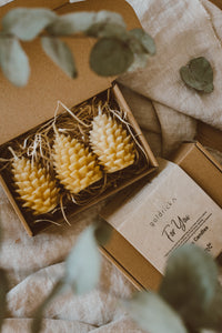 Pine Cone Candles | Beeswax Candles